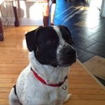 Sharon Marriott - Instagram Profile Picture of Sharon Marriott (@mommamarriott) on Instagram