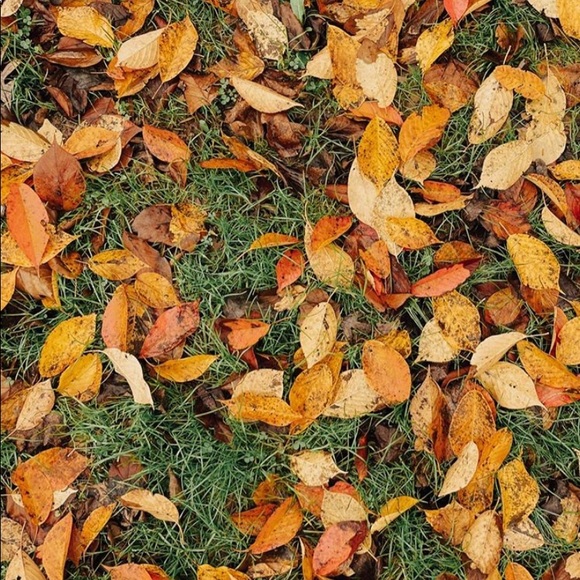 Profile Picture of Marilyn De la paz (@mdelapaz8) on Poshmark