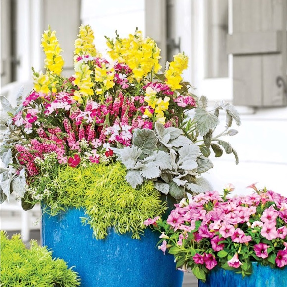 Profile Picture of Hanis Hissey (@hanishussey) on Poshmark