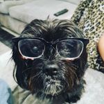 Profile Picture of leon wheeler (@wheelersweth) on Instagram