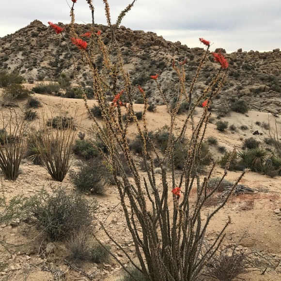 Profile Picture of Carly Nilson (@cnilson02) on Poshmark