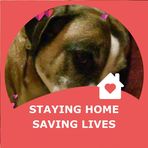 Profile Picture of Cathy Gates (@cathy.gates.10) on Facebook