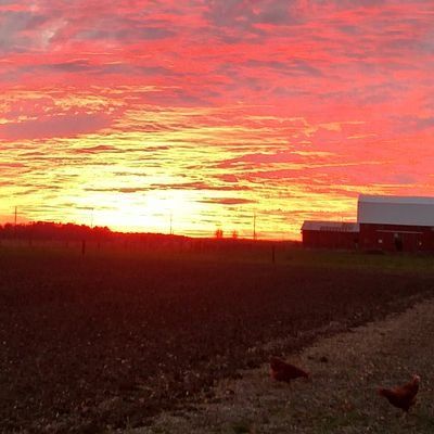 Profile Picture of paulbieber1 (@paulbieber1) on Tiktok