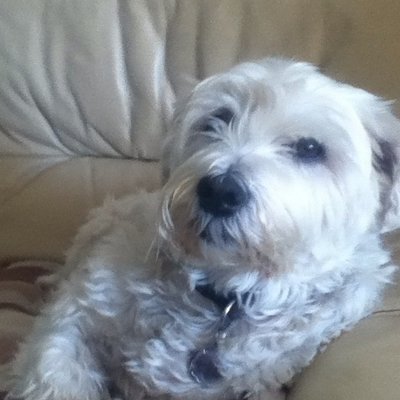 Profile Picture of Dave Waterson (@DaveWaterson1) on Twitter