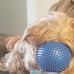 Profile Picture of Amy Bebee (@amy.bebee.10) on Facebook