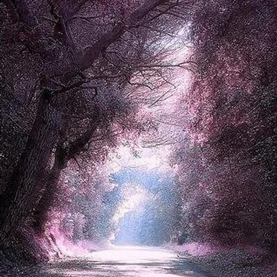 Profile Picture of DREW NATALIE CALHOUN (@calhoun_drew) on Twitter