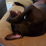 Profile Picture of Shane Ilgen (@ilgen1976) on Instagram