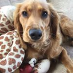 Profile Picture of AdamManley (@adammanley46) on Instagram