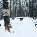 Profile Picture of Jeff (@jeff.hurd.792) on Instagram