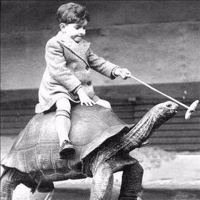 Jeff Hofmann - Twitter Profile Picture of Jeff Hofmann (@jeff_hofmann) on Twitter