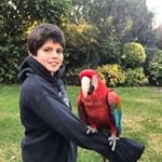 Profile Picture of Ian Buxton (@ianbux07) on Instagram