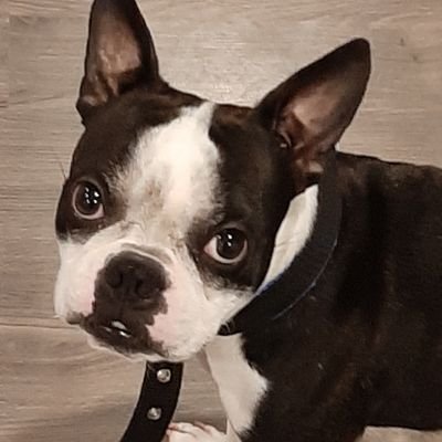 Profile Picture of Darryl Hicks (@DarrylH65329944) on Twitter