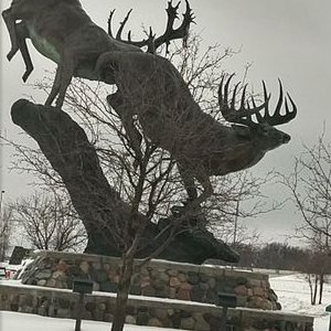 Shelly Shook - Twitter Profile Picture of Shelly Shook (@ShellyShook6) on Twitter