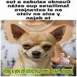 Profile Picture of Jorge Lezama (@jorge.lezama.5872) on Instagram