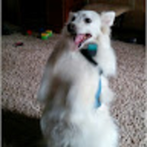 Nicole Neuwirth - Poshmark Profile Picture of Nicole Neuwirth (@nkneuwirth) on Poshmark