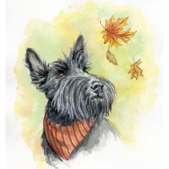 Profile Picture of Debbie Stabel (@dyopek) on Poshmark