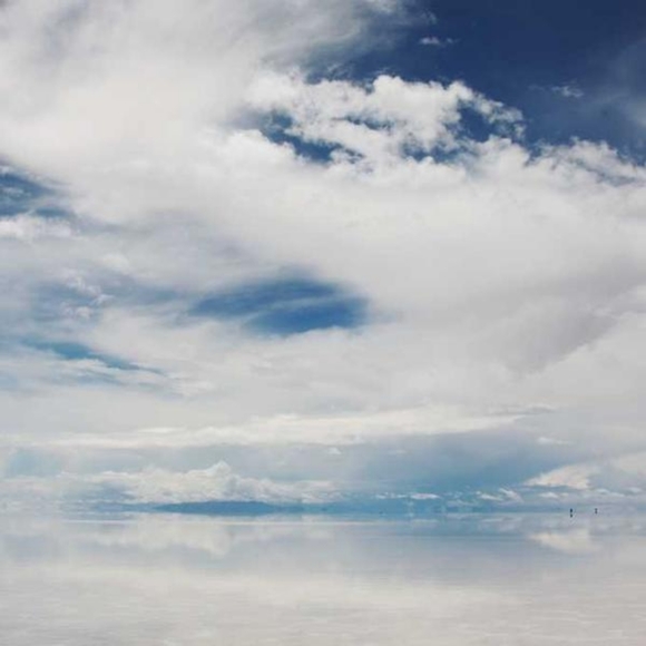 Mario Collins - Poshmark Profile Picture of Mario Collins (@mtoughu372) on Poshmark