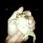 Profile Picture of Chris Ostlund (@chrisisreallyneat) on Instagram