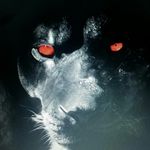 Profile Picture of james hensley (@james_._hensley) on Instagram