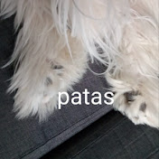 Profile Picture of Cedric Garcia (@cedricgarcia3200) on Youtube