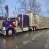 Profile Picture of Jeff Greer971 (@jeffgreer6) on Tiktok