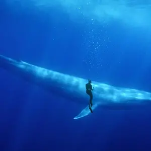 Profile Picture of user99961825434 (@pythoncoun) on Tiktok