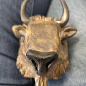 Profile Picture of Michelle Jeffries (@michellejeffries3655) on Youtube