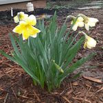 Profile Picture of Gloria Stearns-Bruner (@stearnsbruner) on Instagram