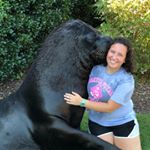 Profile Picture of Danielle Guy (@danielle.guy) on Instagram