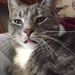 Profile Picture of Jeff Fitzsimmons (@jfitzsimmonsjf) on Pinterest