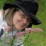 Profile Picture of Nancy Vehrs (@nancyvehrs) on Instagram