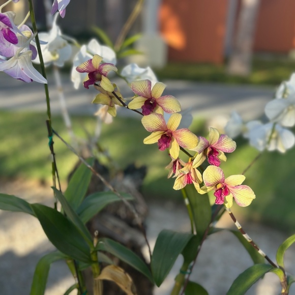 Profile Picture of Hayley Boyer (@hayb1218) on Poshmark