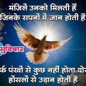 Profile Picture of Ashish Pal (@ashishpal842376) on Twitter