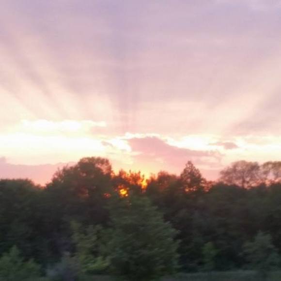 Profile Picture of Thomas Rowlands (@rolocksrv) on Poshmark