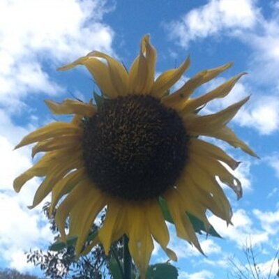 Profile Picture of Andrew Spicer (@andrewspicer78) on Twitter