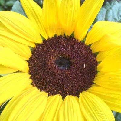 Profile Picture of Eric Wilkinson (@nephrolithiasis) on Twitter