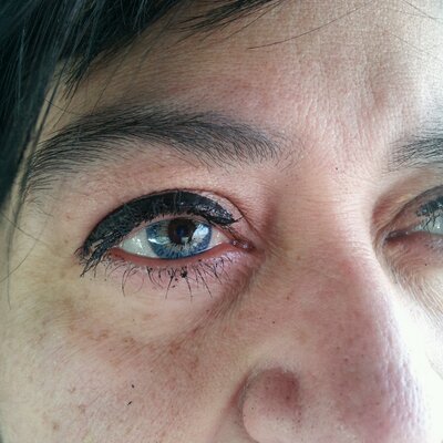 Profile Picture of Cynthia Schumacher (@CSchumacher19) on Twitter