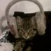 Profile Picture of Monty Warner (@monty.warner.56) on Facebook
