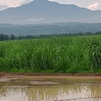 Profile Picture of Brian Kastelo (@Brian-Kastelo) on Facebook