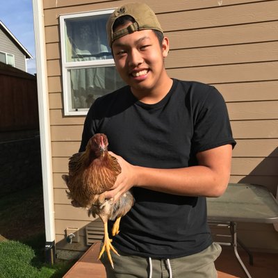 Profile Picture of Anthony Seng (@anthony_seng) on Twitter