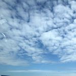 Profile Picture of Violet Kim (@agape798) on Instagram