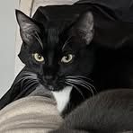 Tina Locklear - Facebook Profile Picture of Tina Locklear (@tina.locklear.889389) on Facebook