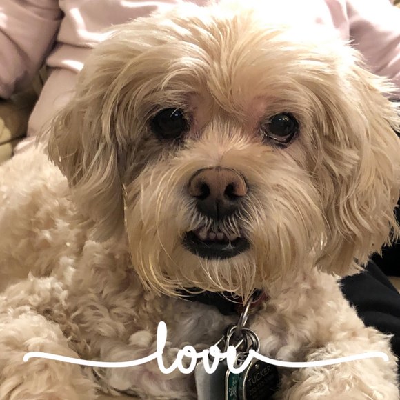 Profile Picture of Nita Bruscas (@nitab56) on Poshmark