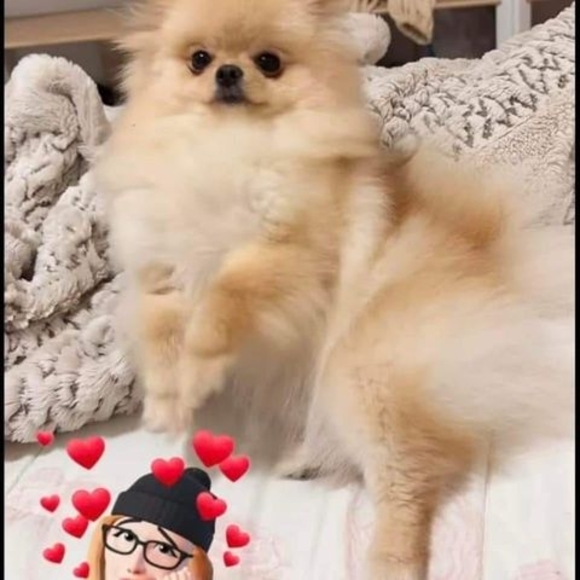 Maxine Sappenfield - Poshmark Profile Picture of Maxine Sappenfield (@sappenfieldm) on Poshmark