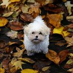 Profile Picture of Jeff Jung (@jeffjung_) on Instagram