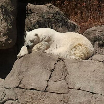 Profile Picture of Tom Schwab (@TomSchwab21) on Twitter