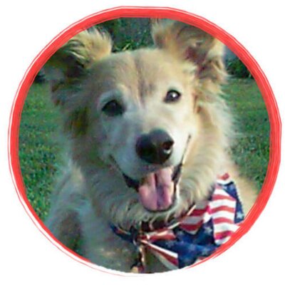 Profile Photo of Andrea Coats (@TheLittleRedDog) on Twitter