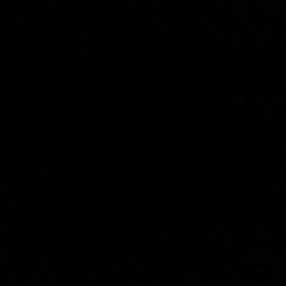 Profile Picture of Miles Max (@lilyachty444) on Poshmark