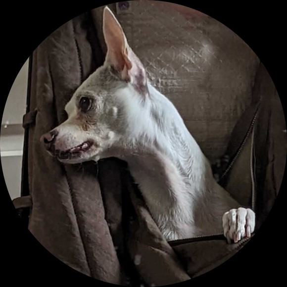 Profile Picture of Brian Lee (@bleelux17) on Poshmark