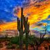 Profile Picture of James Prosek (@james.prosek.39) on Facebook